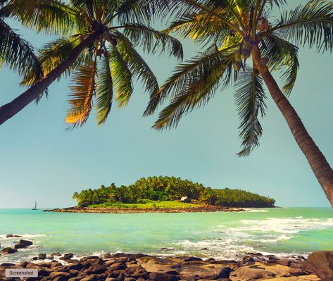 Devil’s Island, French Guiana – Hell on Earth for 100 Years Devils Island French Guiana, Trees Images, Palm Tree Images, French Caribbean, Prison Life, Travel America, French Empire, Jet Plane, French Guiana