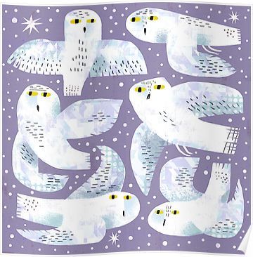 Snowy Owls, Winter Art Lesson, Children's Book Characters, Owl Posters, Snow Owl, Owl Illustration, Owls Drawing, Snowy Owl, Owl Art