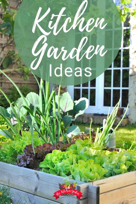 Get inspired to plant your vegetable garden with this beautiful assortment of kitchen garden ideas  in various sizes and styles! Kitchen Garden Ideas, Indoor Gardening Supplies, Container Garden Design, Herb Garden Design, Backyard Kitchen, Garden Planner, Indoor Gardens, Container Gardens, Container Garden