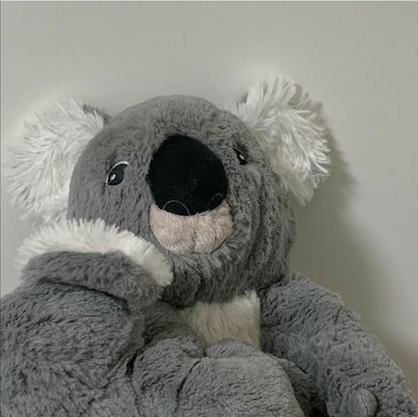 Peluche Aesthetic, Gray Aesthetic, Pretty Colours, Book Aesthetic, Things To Buy, Koala, Aesthetic Wallpapers, Teddy Bear, Animals