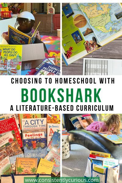 Have you been considering homeschool? Take a look into our experience with BookShark, a literature-based curriculum. #homeschool #homeschoolcurriculum #bookshark #booksharkcurriculum #homeschooling Literature Based Homeschool, Literature Based Curriculum, Homeschool Nook, Homeschool Phonics, Parenting Topics, Homeschool Books, History Curriculum, Being Better, Classical Education