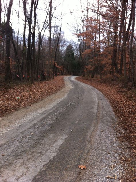 those old kentucky roads... Rural Kentucky, Spooky Aesthetic, Kentucky Girl, Beauty Places, My Old Kentucky Home, Best Places To Live, Precious Memories, Take Me Home, Kentucky