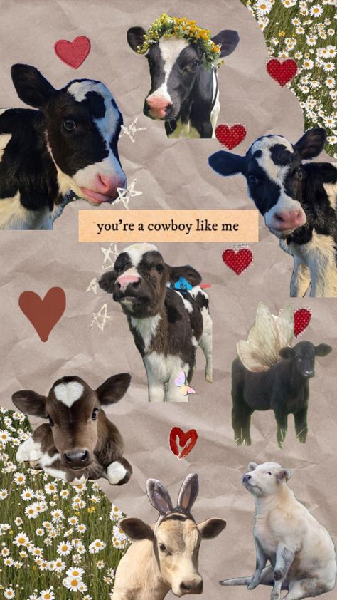 Cows Mooing, Cow Wallpaper, Baby Farm Animals, Fluffy Cows, Cowgirl Aesthetic, Baby Cows, Cow Art, Cute Cows