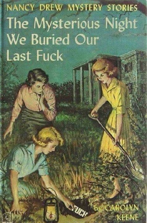 These 25 fake Nancy Drew book covers are great parodies of the classic detective series. #nancydrew #hardyboys #letseatcake #parody #bookcovers #humor Books Wishlist, Book Parody, Nancy Drew Mystery Stories, Nancy Drew Books, Mystery Stories, Hardy Boys, Nancy Drew, Book Illustrations, Pulp Fiction