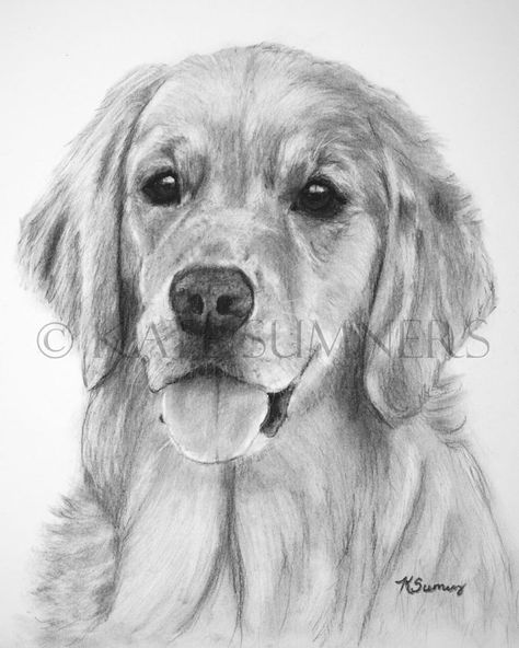 Retriever Drawing, Drawings Techniques, Golden Retriever Drawing, Creatures Drawing, Draw Dogs, Dogs Drawing, Drawing 101, Golden Retriever Art, Journal Drawing