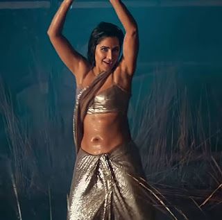 Katrina Kaif Navel, Silver Saree, Shirley Setia, Katrina Kaif Photo, Celebrity Pics, Arabian Beauty Women, Avneet Kaur, Celebrity Portraits, Bollywood Girls