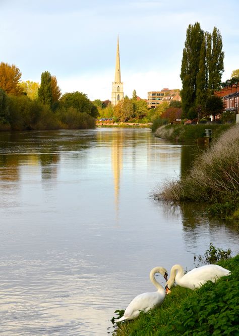 River Severn - Worcester, UK Study Abroad England, Worcestershire England, Worcester Cathedral, Worcester England, River Severn, Scottish Thistle, British Countryside, Hereford, English Rose