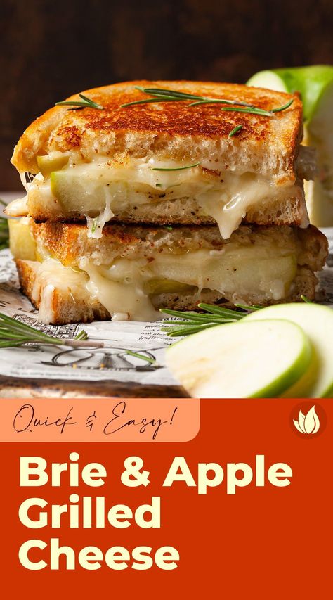 Brie Cheese Grilled Cheese, Apple Grilled Cheese Recipes, Grilled Cheese Recipes Brie, Brie Recipes Sandwich, Pear Apple Cheddar Caramelized Onion Grilled Cheese Bagel Sandwich, Fancy Grilled Cheese Brie, Apple And Cheese Sandwich, Apple Brie Grilled Cheese Sandwich, Brie Cheese And Apple Recipes