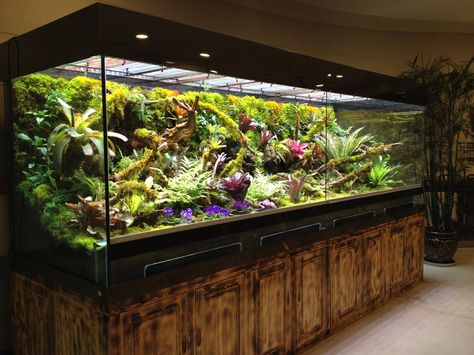 I will build a bigger house just to make sure this can fit. Frog Terrarium, Fish Tank Terrarium, Aquarium Terrarium, Reptile Room, Aquarium Landscape, Reptile Terrarium, Aquascape Aquarium, Reptile Enclosure, Aquarium Design