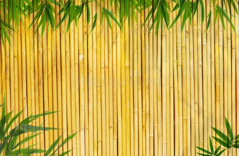 Bamboo Background. Light Golden bamboo Background great for any project. frame o #Sponsored , #paid, #affiliate, #Background, #Golden, #project, #Light Panda Background, Bamboo Background, Gold And Black Background, Ganpati Bappa Wallpapers, Golden Bamboo, Nature Photography Trees, Bamboo Texture, Background Light, Bamboo Fence