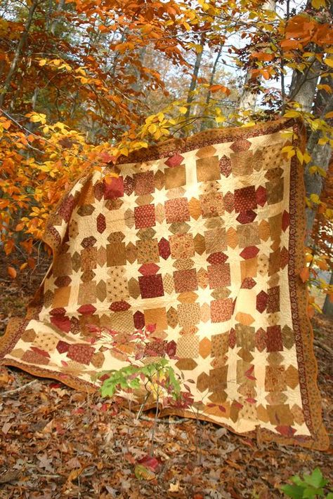 Morning Star Quilt from the Celebrate Creativity blog. Gorgeous This is perfect for a fall quilt for our room! Love, love, love..! Morning Star Quilt, Quilting Digest, Pretty Quilt, Holiday Quilts, Halloween Quilts, Free Quilt Patterns, Fall Quilts, Manta Crochet, Traditional Quilts