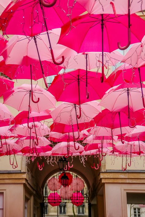 Pink umbrellas in Paris,  Paris in Spring photo by Falling Off Bicycles, fine art Paris photography, Julia Willard Venue Aesthetic, Instagram Walls, Paris In Spring, Spring In Paris, Amsterdam Photos, Springtime In Paris, District 9, Pink Umbrella, Pink Photography