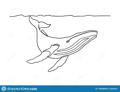 Humpback Whale Sketch, Whales Photography, Humpback Whale Drawing, Whale Line Art, Humpback Whale Tattoo, Whale Sketch, Bts Tattoo, Whale Drawing, One Line Tattoo