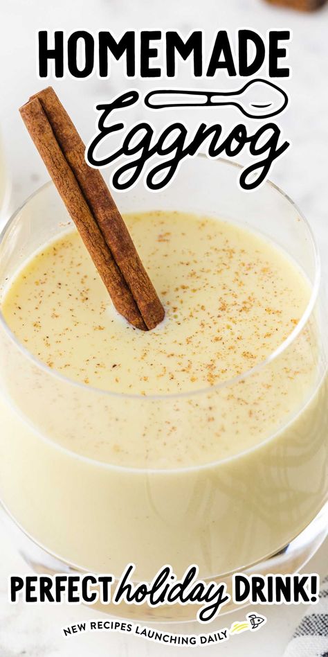 Non Alcoholic Eggnog Recipe, Eggnog Recipe Spiked, Best Eggnog Recipe, Egg Nog Recipe Easy, Homemade Eggnog Recipe, Alcoholic Eggnog, Eggnog Cocktail, Classic Eggnog, Eggnog Recipe Homemade