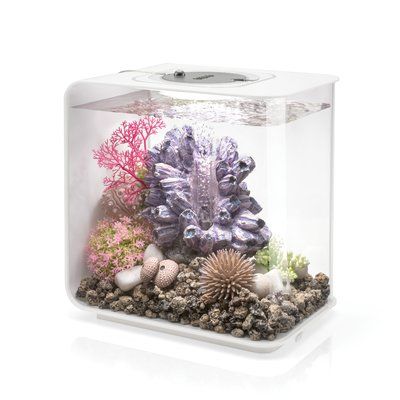 biOrb Flow Aquarium Tank Color: White, Size: 8.2" H x 11.8" W x 12.4" D Aquarium Set, Acrylic Aquarium, Glass Aquarium, Aquarium Setup, Fish Supplies, Healthy Water, Tanked Aquariums, Aquarium Decor, Aquarium Decorations