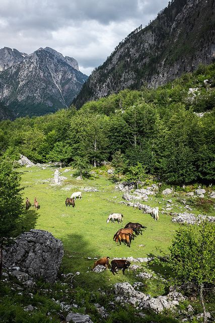 Valbona Albania, Travel Albania, Visit Albania, Republic Of Macedonia, Albania Travel, Albanian Culture, Travel Culture, Eastern Europe Travel, Awesome Nature