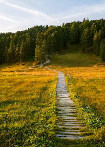 Green grass field and trees during daytime photo – Free Plant Image on Unsplash Wald Wallpaper, Image Nature, Hapkido, Pretty Landscapes, Alam Yang Indah, Nature Aesthetic, Scenery Wallpaper, Iphone Wallpapers, Nature Wallpaper