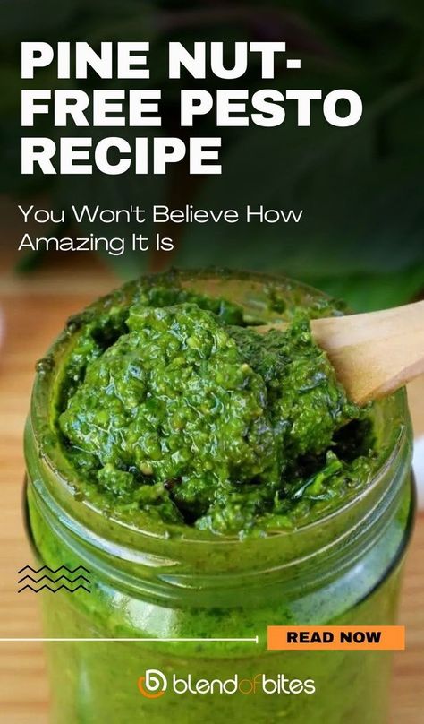 Pesto is such a lifesaver in the kitchen. It goes well with many dishes, be it pasta, pizza, potatoes, or chicken. It also does wonders for your average sandwich. Most pesto includes pine nuts, which is not good if you are allergic to nuts or do not like their taste. This pesto recipe without pine nuts is here to save the day. Pesto Recipe Without Pine, Pizza Potatoes, Easy Pesto Recipe, Fresh Basil Recipes, Nut Free Pesto, Homemade Pesto Recipe, Pine Nut Recipes, Basil Recipes, Nut Free Recipes