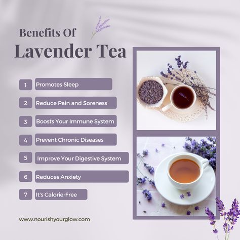 How To Make Lavender Tea, Lavender Tea Recipe, Benefits Of Lavender Tea, Lavender Tea Benefits, How To Dry Lavender For Tea, Lavender Green Tea, Lavender Health Benefits, Mint Tea Benefits, Lavender Chamomile Tea