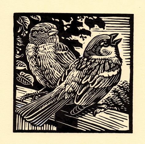 Richard Allen, Book Garden, Woodcut Art, Owl Watercolor, Scratchboard Art, Tawny Owl, Linocut Printmaking, Lino Art, Garden Birds