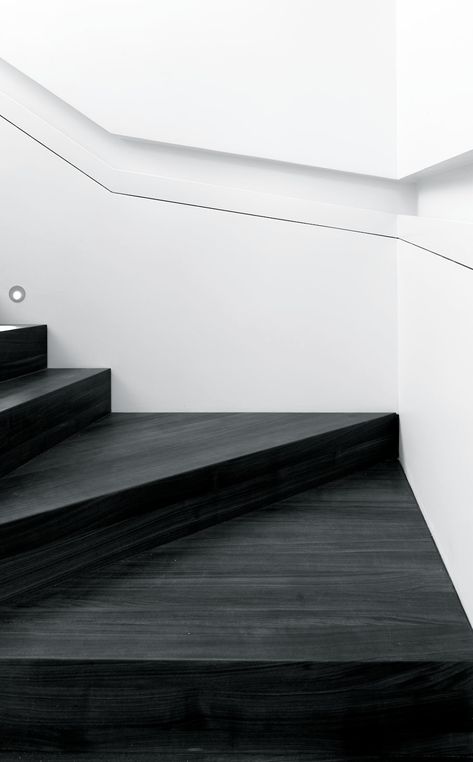 Drew Mandel Architects | Moore Park Residence | Toronto, Canada Wood Floor Stairs, Interior Design Examples, Black Stairs, Stair Banister, White Stairs, Minimal Interior Design, Lan Can, Dark Wood Floors, Interior Stairs