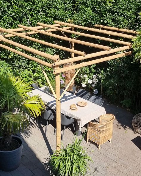 Repost @leukwonen via Instagram Bamboo Patio Cover, Bamboo Pergola Ideas, Bamboo Garden Ideas, Pergola Bamboo, Garden With Bamboo, Diy Bamboo Projects, Bamboo Pergola, Bamboo Arbor, Indoor Bamboo