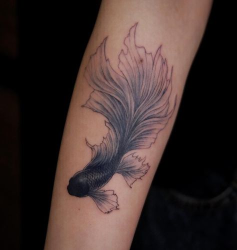 Betta Fish Tattoo, Betta fish tattoo design, women's Betta fish tattoo, Betta fish tattoo designs, simple Betta fish tattoo, watercolor betta fish tattoo, Betta fish tattoo small, black Betta fish tattoo, small Betta fish tattoo, realistic betta fish tattoo, betta fish tattoo simple, betta fish tattoo drawing, betta fish tattoo ideas, red betta fish tattoo, geometric betta fish tattoo, Betta fish tattoo traditional,Female betta fish Tattoo,Betta fish tattoo outline,Siamese fighting fish Tattoo Black Betta Fish Tattoo, Betta Fish Tattoo Ideas, Fish Tattoo Betta, Black And White Betta Fish Tattoo, Beta Tattoos, Betta Fish Tattoo Design, Fighter Fish Tattoo, Beta Fish Tattoo Design, Beta Fish Tattoos