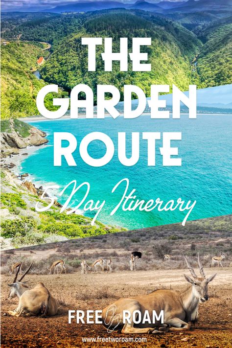 Our 5 Days Itinerary to the Garden Route, South Africa South Africa Itinerary, Garden Route South Africa, Africa Itinerary, Africa Travel Guide, Visit Africa, African Travel, Africa Destinations, Africa Do Sul, South Africa Travel