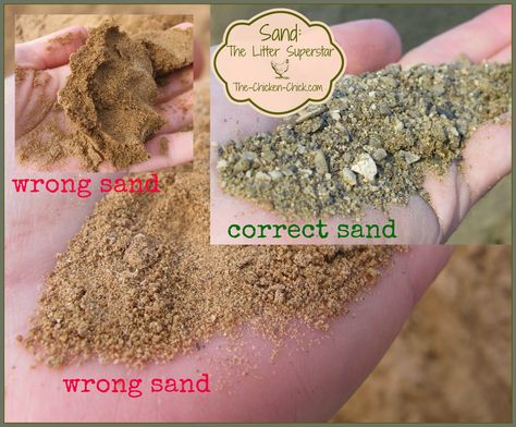 Washed, construction grade sand is a better litter choice for the coop and run than play sand. Manufactured sand should never be used as chicken litter. Chicken Coop Litter, Chicken Coop Bedding, Coop And Run, Chicken Coop Decor, Play Sand, Portable Chicken Coop, Chicken Coop Run, Best Chicken Coop, Raising Backyard Chickens