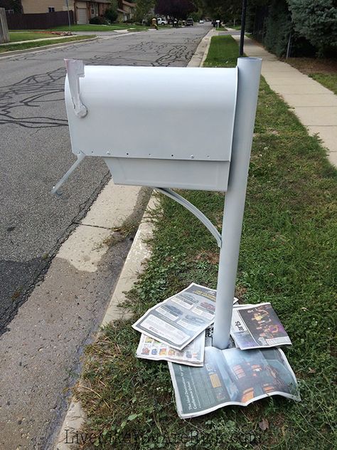 How to Spray Paint a Mailbox Spray Paint Mailbox Diy, Painting Mailbox Ideas, Paint Mailbox, Spray Paint Techniques, Black Mailbox, Mailbox Makeover, Painted Mailboxes, How To Spray Paint, Diy Mailbox