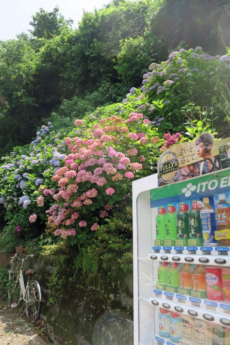 Refreshing Wallpapers, Japanese Vending Machines, Vending Machines, Japan Aesthetic, Aesthetic Japan, Kamakura, Japanese Aesthetic, Vending Machine, Slice Of Life