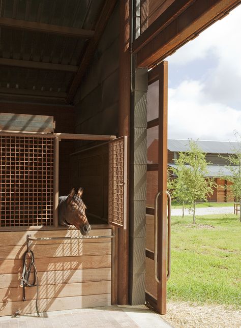 Horse Stables Design, Equestrian Stables, Stable Style, Lake Flato, Horse Barn Ideas Stables, Horse Barn Designs, Horse Facility, Hay Barn, Equestrian Problems