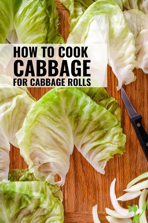 Stuffed Cabbage Rolls is a classic dish but preparing the cabbage leaves can be a dread. Learn the quickest and easiest method to getting the perfectly parboiled cabbage leaves without burning your fingers. Best Cabbage Rolls Recipe, Easy Cabbage Rolls, Cabbage Recipes Healthy, Boiled Cabbage, Steamed Cabbage, Stuffed Cabbage Rolls, Cabbage Head, Cabbage Rolls Recipe, Stuffed Cabbage