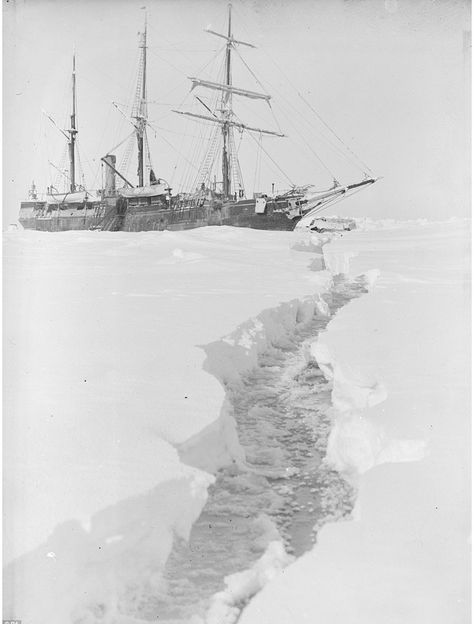 Polar Exploration, Ernest Shackleton, Unseen Images, Old Sailing Ships, South Georgia, Canoes, Book Fair, 3d Modelling, Work Inspiration