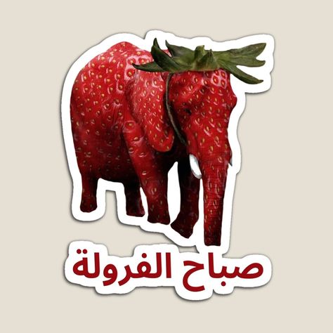 Get my art printed on awesome products. Support me at Redbubble #RBandME: https://www.redbubble.com/i/magnet/Arabic-Strawberry-Elephant-Morning-%D8%B5%D8%A8%D8%A7%D8%AD-Meme-by-fomodesigns/152789378.TBCTK?asc=u Strawberry Elephant, Elephant Stickers, Green Sticker, Plastic Stickers, Meme Stickers, Decorate Notebook, Coloring Stickers, Colorful Prints, Stranger Things Fanart