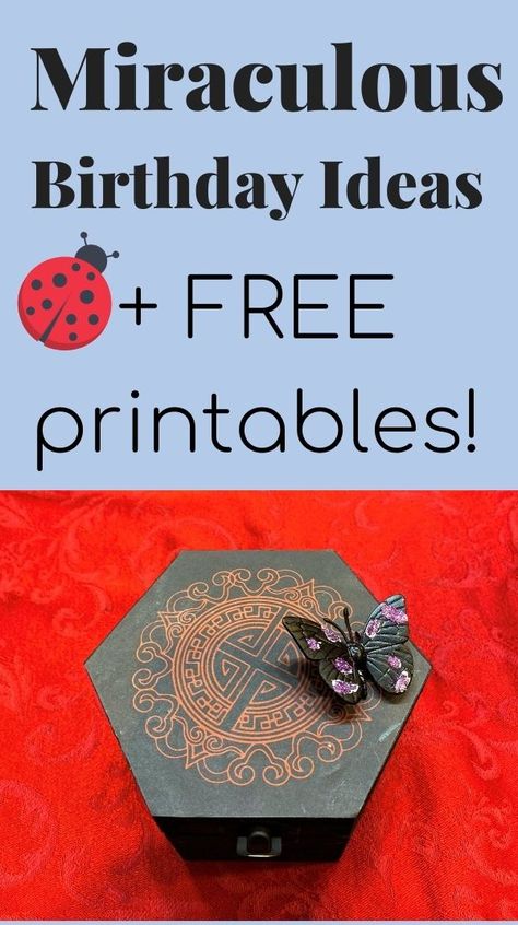 Miraculous Ladybug Gift Ideas, Miraculous Themed Party, Miraculous Party Decoration, Miraculous Themed Snacks, Diy Miraculous Ladybug Party, Miraculous Ladybug Free Printables, Miraculous Party Games, Miraculous Ladybug Activities, Miraculous Ladybug Decorations