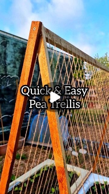 String Trellis, Making A Garden, Pea Trellis, Growing Peas, Wood Drill Bits, Climbing Frame, Wood Working For Beginners, Garden Trellis, Grow Your Own Food