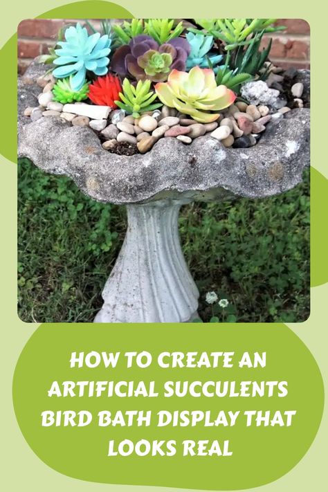 Succulents Display, Bath Display, Succulent Arrangements Diy, Outdoor Garden Diy, Bird Bath Planter, Succulent Garden Outdoor, Concrete Bird Bath, Decorating With Plants, Succulent Display