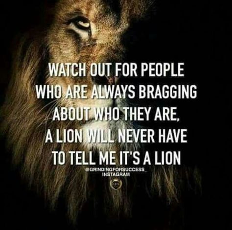 Watch out for people who are always bragging about who they are. A lion will never have to tell me it's a lion. Athletic Quotes, Lion Quotes, Now Quotes, Under Your Spell, Warrior Quotes, Badass Quotes, A Lion, Quotable Quotes, Real Talk