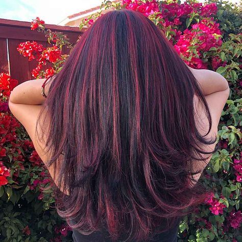 Red Cherry Cola Hair Color, Cherry Coke And Blonde Hair, Hair Dye Colors For Hispanics, Red Cherry Highlights, Hair Inspo Color 2023, Black Cherry With Blonde Highlights, Hair Dye Cherry Red, Cherry Soda Hair Color, Hair Color Highlights 2023