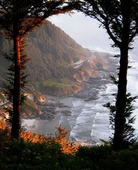 My inner landscape Oregon Sights, 숲 사진, Beautiful Entryways, Gods Creation, A Hill, Oregon Coast, Pretty Places, Narnia, The Coast