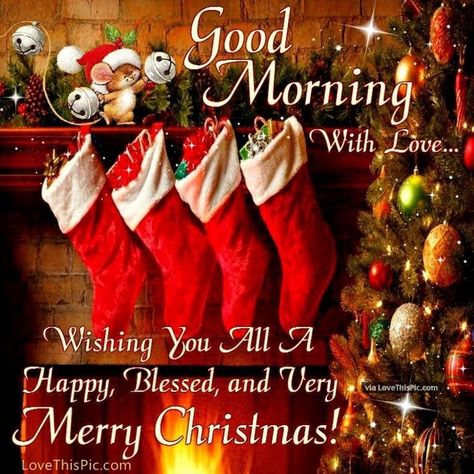 We have 40 Merry Christmas images and quotes that those of all ages will love and enjoy! Happy Holidays to you and your loved ones. Christmas Love Quotes, Christmas Quotes Images, Short Christmas Wishes, Crazy Jewelry, Christmas Greetings Quotes, Christmas Wishes Quotes, Good Morning Christmas, Merry Christmas Message, Merry Christmas Gif