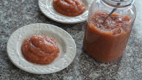 Rhubarb Applesauce Rhubarb Applesauce, Applesauce Crockpot, Applesauce Recipes Canning, Canning Applesauce, Canning Equipment, Rhubarb Plants, Central Washington, Ice Crea, Apple Sauce Recipes