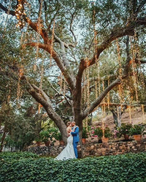 Calamigos Ranch wedding at the Pavilion July 2018 Wedding Photography Quotes, Ocean View Wedding, Calamigos Ranch Wedding, Calamigos Ranch, Ranch Wedding Venue, The Pavilion, California Wedding Venues, Wedding Venue Inspiration, Wedding Photography Packages