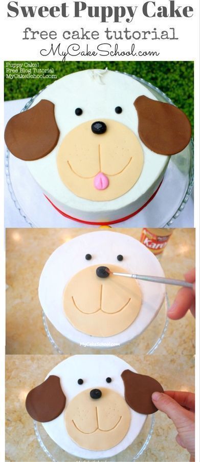 Puppy Cake~ A Blog Tutorial via @mycakeschool My Cake School, Puppy Birthday Cakes, Rock Cake, Puppy Cake, Dog Birthday Cake, Cake Blog, Animal Cakes, Dog Cakes, Easy Cake Decorating