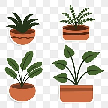 desain alam,tanaman yang indah,koleksi stiker,stiker tanaman,daun-daun hijau,koleksi tanaman,digambar tangan,dekorasi estetika,tanaman,ikon tanaman Cute Plants, Green Cactus, Summer Backgrounds, Plant Aesthetic, Leaf Nature, Beautiful Stickers, Sticker Collection, Green Plants, Png Clipart