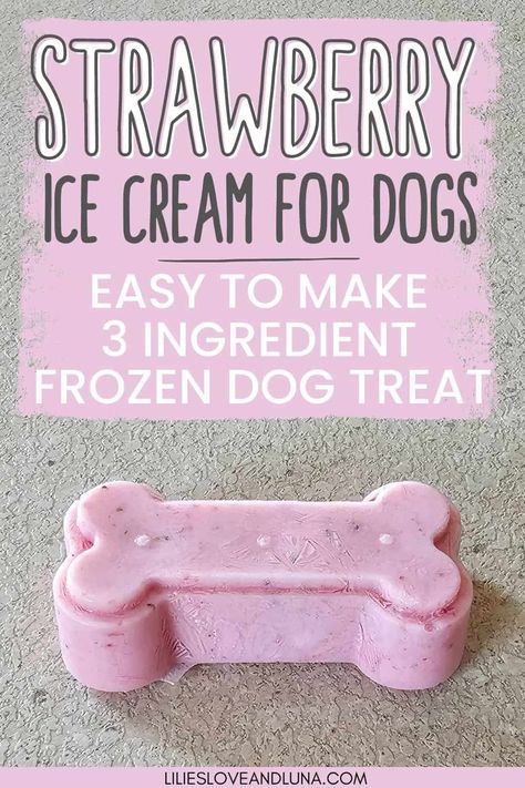 Homemade strawberry ice cream for dogs is an easy frozen dog treats recipe to make for your dog this summer. Frozen strawberry dog treats are easy to make with only 3 ingredients. This DIY dog popsicles recipe is made with simple ingredients like plain Greek yogurt. Strawberry Dog Treats, Dog Popsicles Recipe, Homade Dog Treats, Ice Cream For Dogs, Dog Popsicles, Dog Ice Cream Recipe, Frozen Dog Treats Homemade, Homemade Dog Shampoo, Dog Treats Recipe