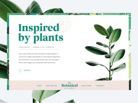 Botanical Branding, Cv Website, Website Animation, Wix Templates, Sketch App, Portfolio Web Design, Website Redesign, App Ui Design, Coffee Branding