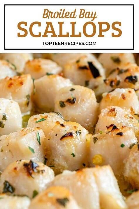 Broiled Bay Scallops - Top Recipes Bay Scallops Recipe, Scallops And Pasta, Broiled Scallops, Bay Scallop Recipes, Cook Scallops, Bay Scallops, Scallops Recipe, How To Cook Scallops, Seafood Dish Recipes