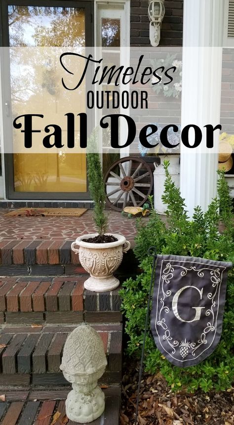 Fast Growing Evergreen Trees and Decor Fast Growing Evergreens, Growing Trees, Fast Growing Trees, Fall Outdoor Decor, Evergreen Trees, Fast Growing, Autumn Trees, Bird Bath, Outdoor Space